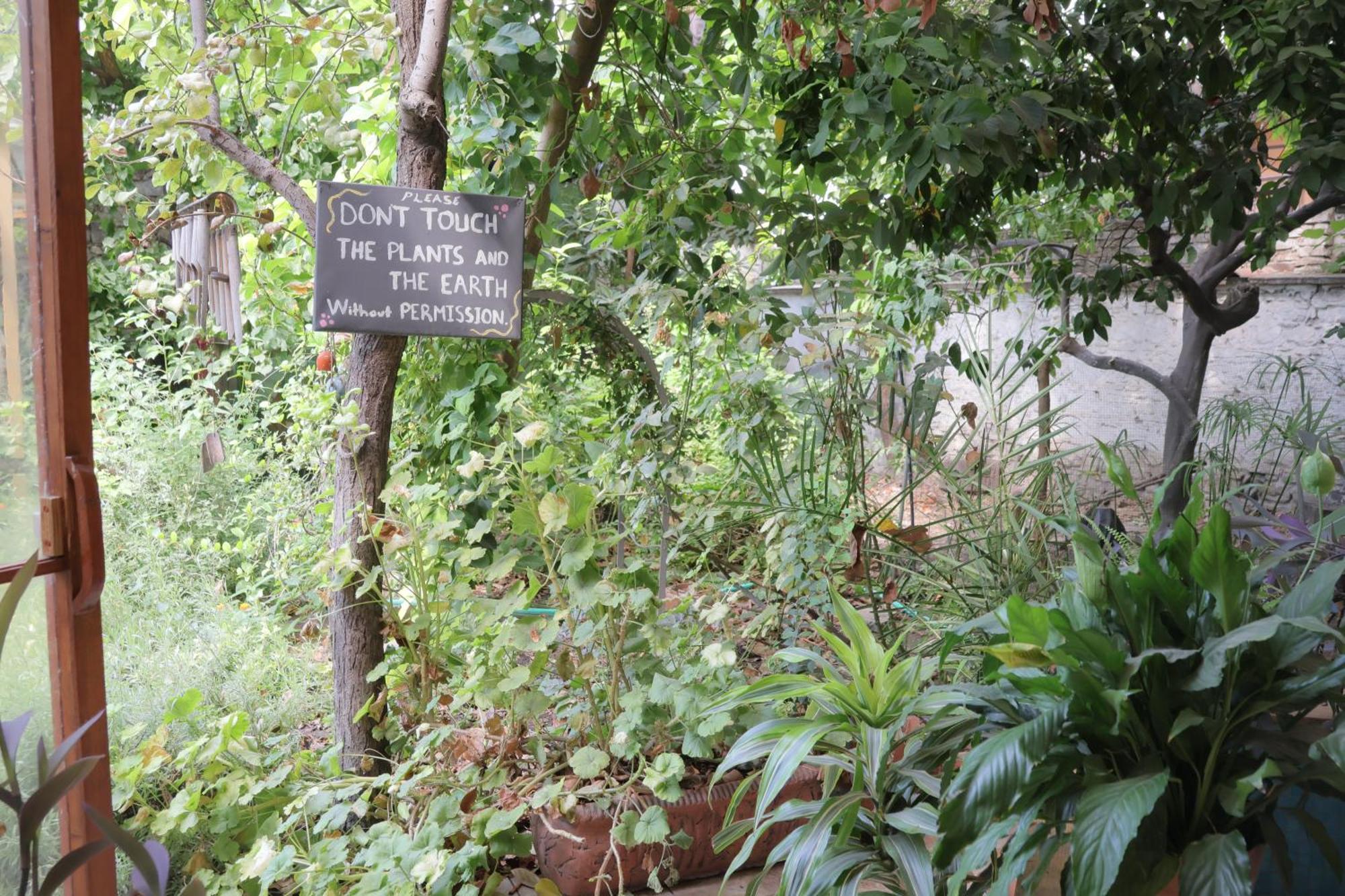 伊兹密尔莲园旅舍旅舍 外观 照片